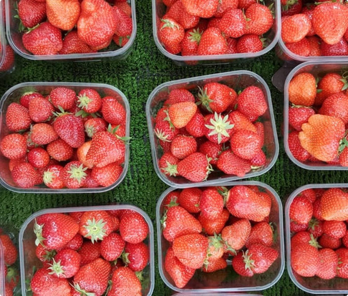 Provisions et coffre à provisions